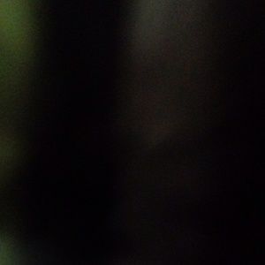 Meet your Posher, Devin